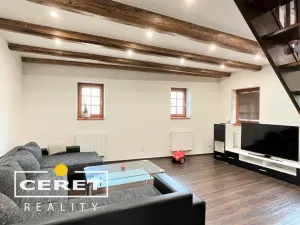 Prodej komerční nemovitosti, Žatec, Dvořákova, 139 m2