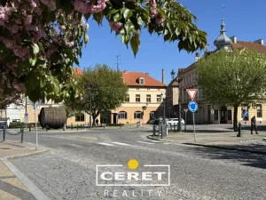 Prodej komerční nemovitosti, Žatec, Dvořákova, 139 m2