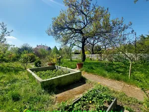 Prodej zahrady, Praha, Na Balkáně, 250 m2