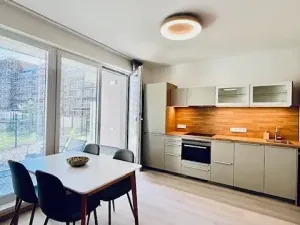 Pronájem bytu 1+kk, Praha - Vysočany, Gerstelova, 41 m2