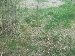 Prodej pozemku pro bydlení, Meziměstí, 2212 m2