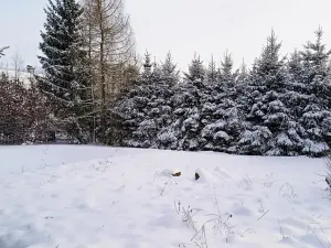 Prodej pozemku pro bydlení, Meziměstí, 2212 m2