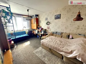 Prodej bytu 2+1, Plzeň - Severní Předměstí, Elišky Krásnohorské, 58 m2