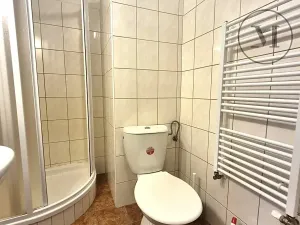 Prodej bytu 2+kk, Benešov nad Černou, 35 m2