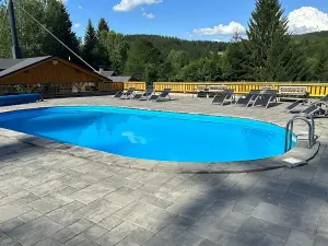 Prodej ubytování, Bartošovice v Orlických horách, 500 m2