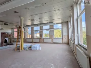Pronájem výrobních prostor, Teplice - Trnovany, Thámova, 110 m2