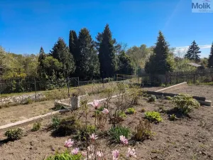 Prodej zahrady, Litvínov - Horní Litvínov, Jedličkova, 243 m2