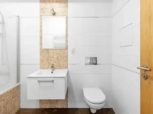 Pronájem bytu 1+kk, Družec, Na Maninách, 41 m2