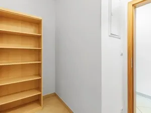 Pronájem bytu 1+kk, Družec, Na Maninách, 41 m2