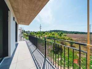 Prodej bytu 4+kk, Plzeň - Litice, 100 m2