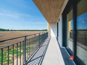 Prodej bytu 4+kk, Plzeň - Litice, 100 m2