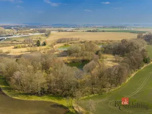 Prodej zahrady, Moravany - Turov, 840 m2