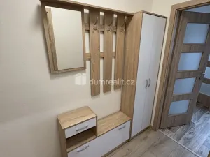 Pronájem bytu 1+1, Jílové - Kamenná, Okružní, 35 m2