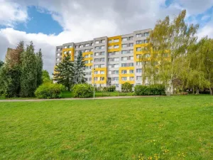 Prodej bytu 1+kk, Praha - Chodov, Nechvílova, 34 m2