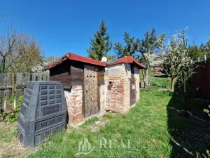 Prodej zahrady, Braňany, Pod Školou, 264 m2