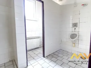 Pronájem kanceláře, Hradec Králové, Škroupova, 62 m2