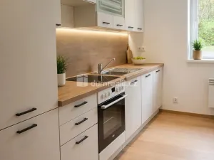 Pronájem bytu 1+1, Františkov nad Ploučnicí, 65 m2