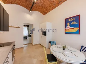 Pronájem bytu 1+1, Praha, Hálkova, 46 m2