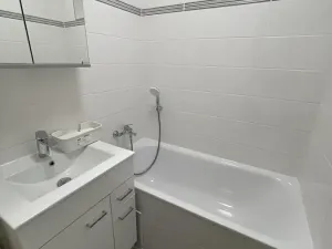 Pronájem bytu 1+kk, Praha - Braník, Podolská, 30 m2