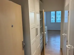 Pronájem bytu 1+kk, Praha - Braník, Nad lesním divadlem, 24 m2