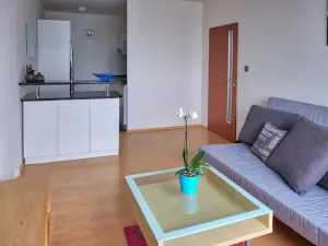 Pronájem bytu 2+kk, Praha, Nechvílova, 54 m2