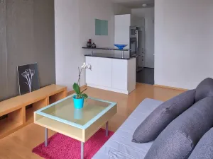 Pronájem bytu 2+kk, Praha, Nechvílova, 54 m2