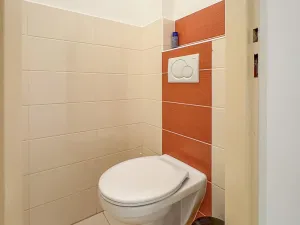 Pronájem bytu 2+kk, Praha - Vinohrady, Libická, 48 m2