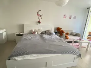 Pronájem bytu 1+kk, Teplice, Čs. dobrovolců, 37 m2