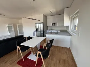 Pronájem bytu 2+kk, Praha, Gerstelova, 67 m2