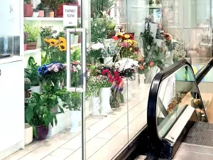 Pronájem obchodního prostoru, Praha, Na Poříčí, 25 m2