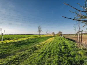 Prodej rodinného domu, Křesetice, 110 m2