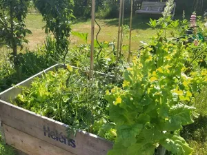 Prodej zahrady, Žlutice, Smetanova, 569 m2