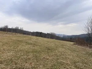 Prodej louky, Proseč pod Ještědem, 3510 m2