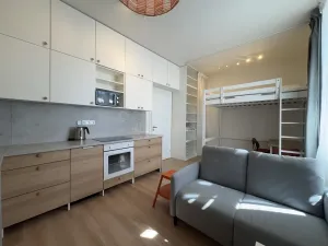 Pronájem bytu 1+kk, Ostrava - Moravská Ostrava, 28. října, 30 m2