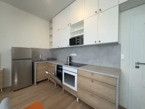 Pronájem bytu 1+kk, Ostrava - Moravská Ostrava, 28. října, 30 m2