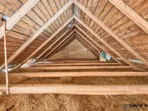 Prodej rodinného domu, Kořenec, 353 m2