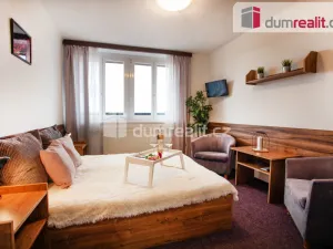 Prodej ubytování, Horní Planá - Hůrka, 1320 m2