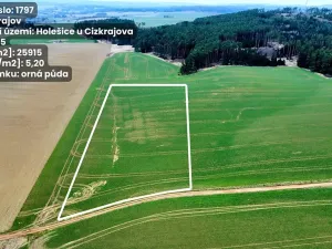 Prodej pole, Cizkrajov, 25915 m2