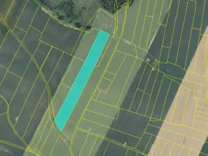 Prodej pole, Šebířov, 44451 m2