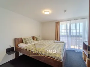 Prodej - jiné, Strachotín, Sklepní, 160 m2