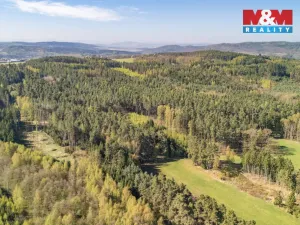 Prodej lesa, Losiná, 2645 m2