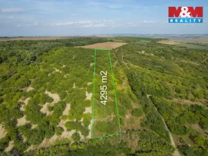 Prodej pole, Židlochovice, 4295 m2