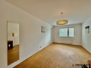Pronájem bytu 2+kk, Brno - Lesná, Haškova, 80 m2