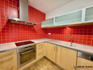 Pronájem bytu 2+kk, Brno - Lesná, Haškova, 80 m2