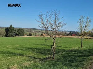 Prodej pozemku pro bydlení, Borová, 7429 m2