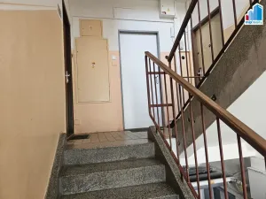 Pronájem bytu 1+kk, Plzeň - Východní Předměstí, Strnadova, 50 m2