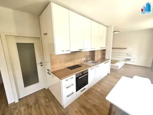Pronájem bytu 1+kk, Plzeň - Východní Předměstí, Strnadova, 54 m2
