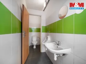 Pronájem výrobních prostor, Albrechtice, 98 m2