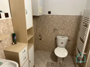 Prodej bytu 1+1, Krnov - Pod Cvilínem, Tyršova, 53 m2