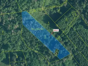 Dražba lesa, Zavlekov, 2895 m2